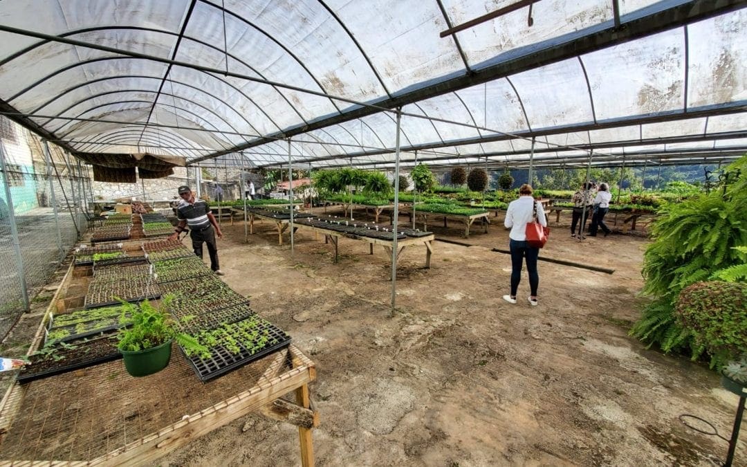 Mission of Hope – Mountain Made Update