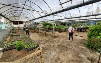 Mission of Hope – Mountain Made Update